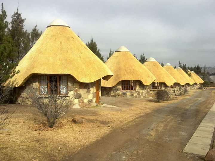 Zebrathatch thatch roofing and outdoor structure project photo 8